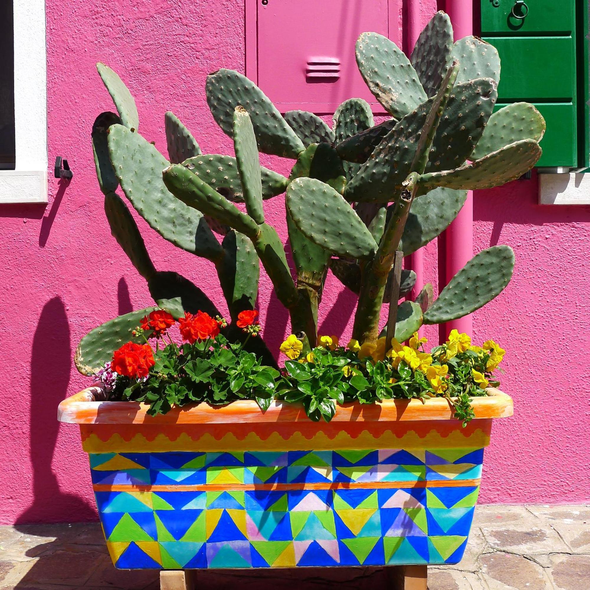 Night Galleria Holiday Home - Bed & Art In Burano - The Pink House 外观 照片